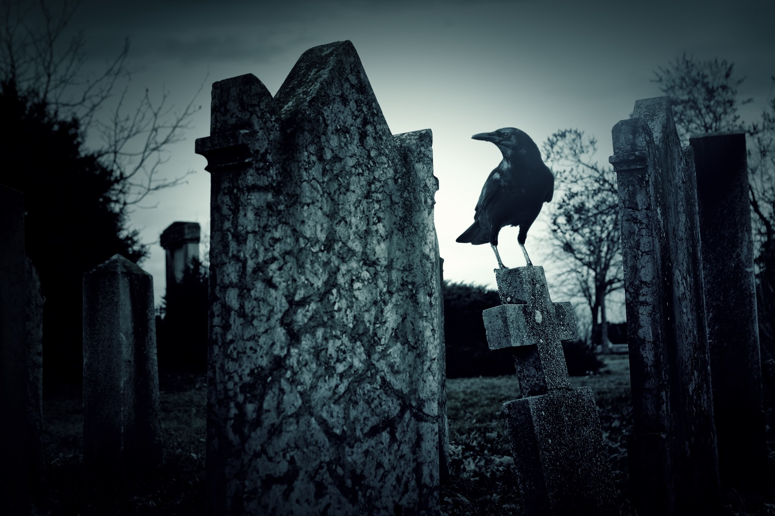 A Ghostly Cry : A Mothers Search for Justice From Beyond the Grave